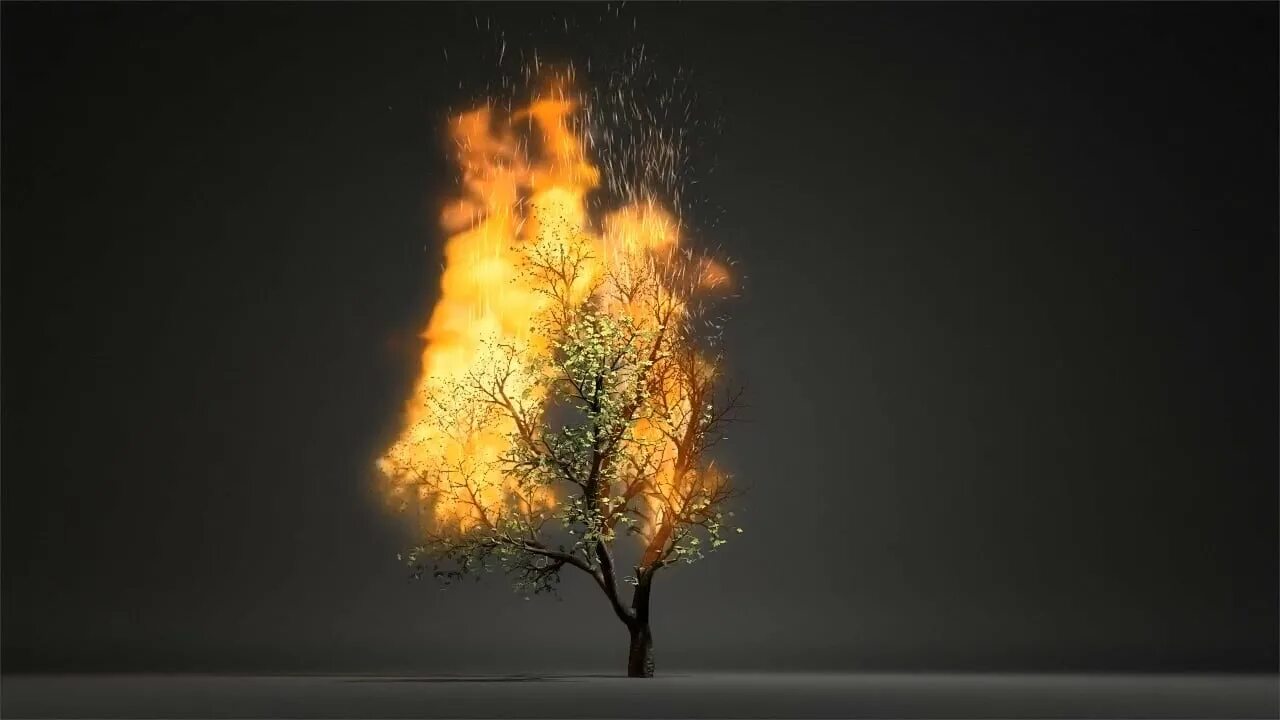 Сгоревшее дерево. Горящее дерево. дерево в огне. одинокое дерево в огне.