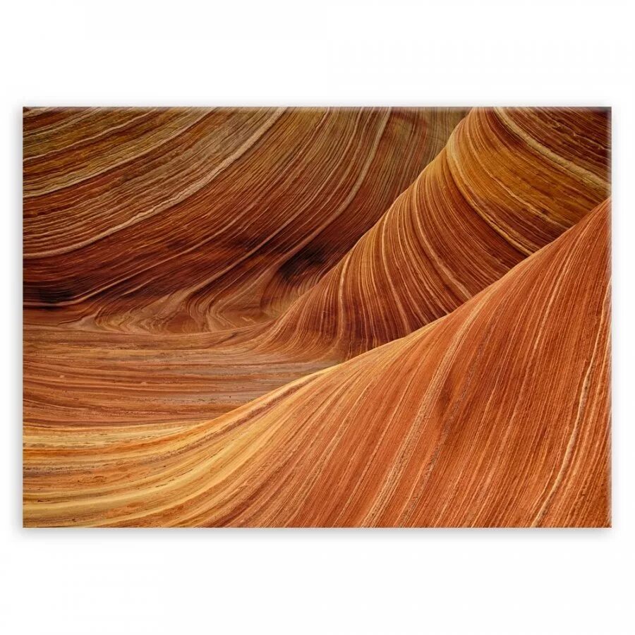 Цвет лисы. Рыжие оттенки волос палитра. Рыжий цвет волос палитра. Лисья палитра. Рыжий цвет палитра.