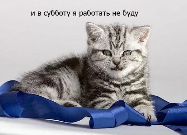 Доброе субботнее рабочее утро