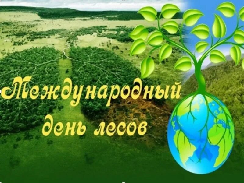Международный день лесов сообщение 4 класс кратко. День леса. всемирный день леса. всемирный день леса в детском саду.