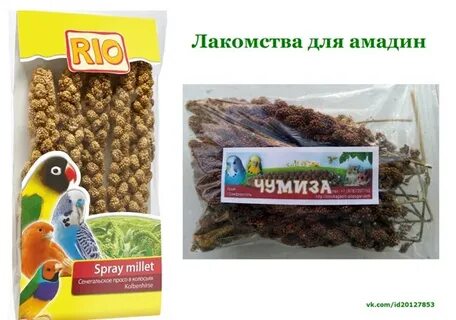 Болотное лакомство