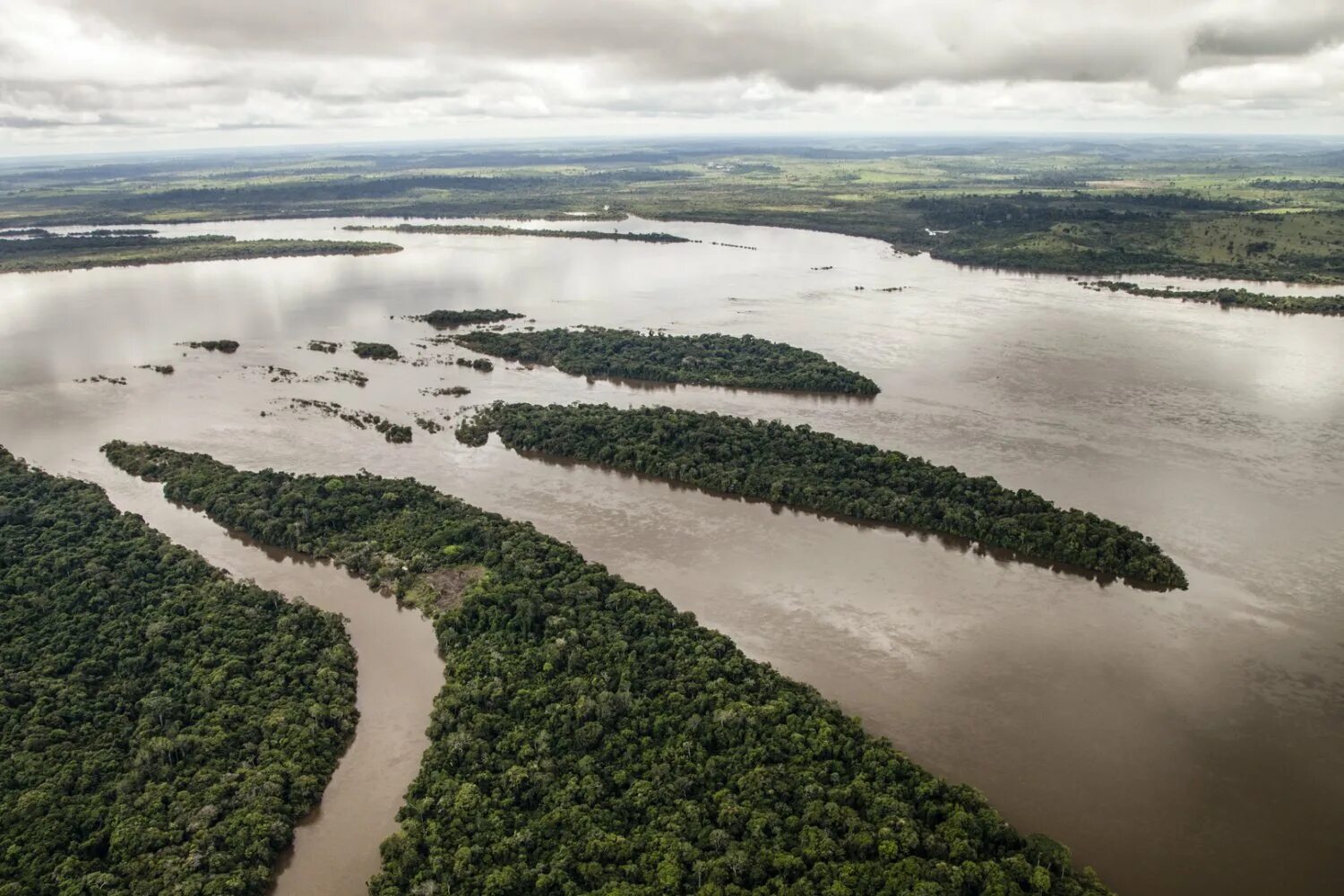 Амазонка какое устье. Шингу (река). Шингу приток амазонки. Река Шингу в Южной Америке. Бассейн реки Рио-Шингу.