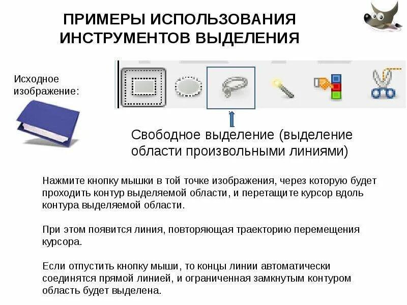 Как выглядят инструменты выделения. Инструменты выделения в информатике это. инструменты выделения. способы получения графического цифрового изображения. растровые инструменты выделения.