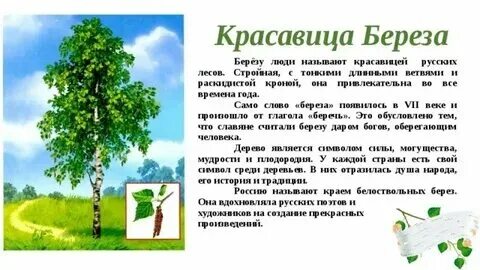 Мы начали трясти березу тип речи