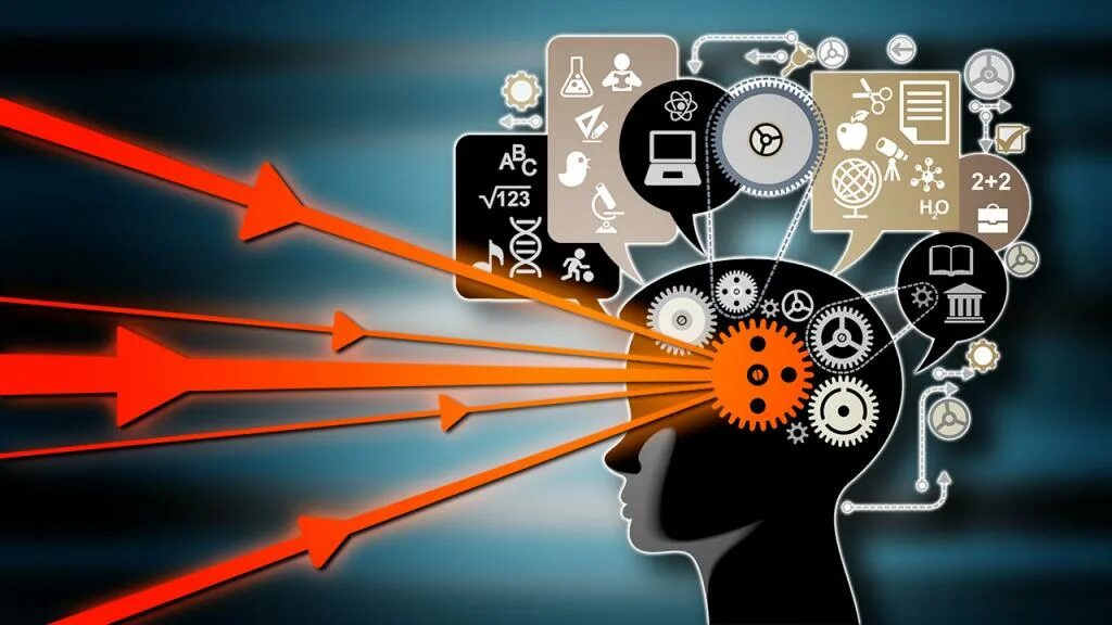 Род профессиональной деятельности пример. Урок применения полученных знаний на практике;. Применять на практике. Применяется на практике. Способность применять знания на практике - это.