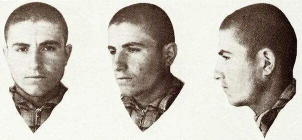 Каспийский подтип европеоидной расы. Каспийский подтип европеоидной расы. Каспийский тип. Каспийский тип. Балкано-кавказская раса.