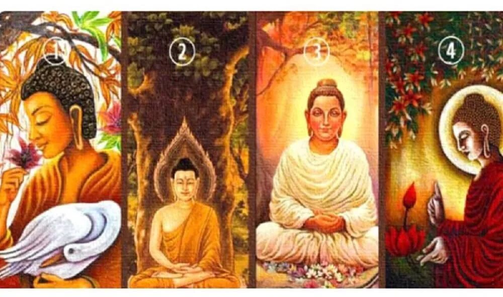Тест будды. Цветок Будды. Будда и его жена. Будда и бунтарь. Будда и его мама.