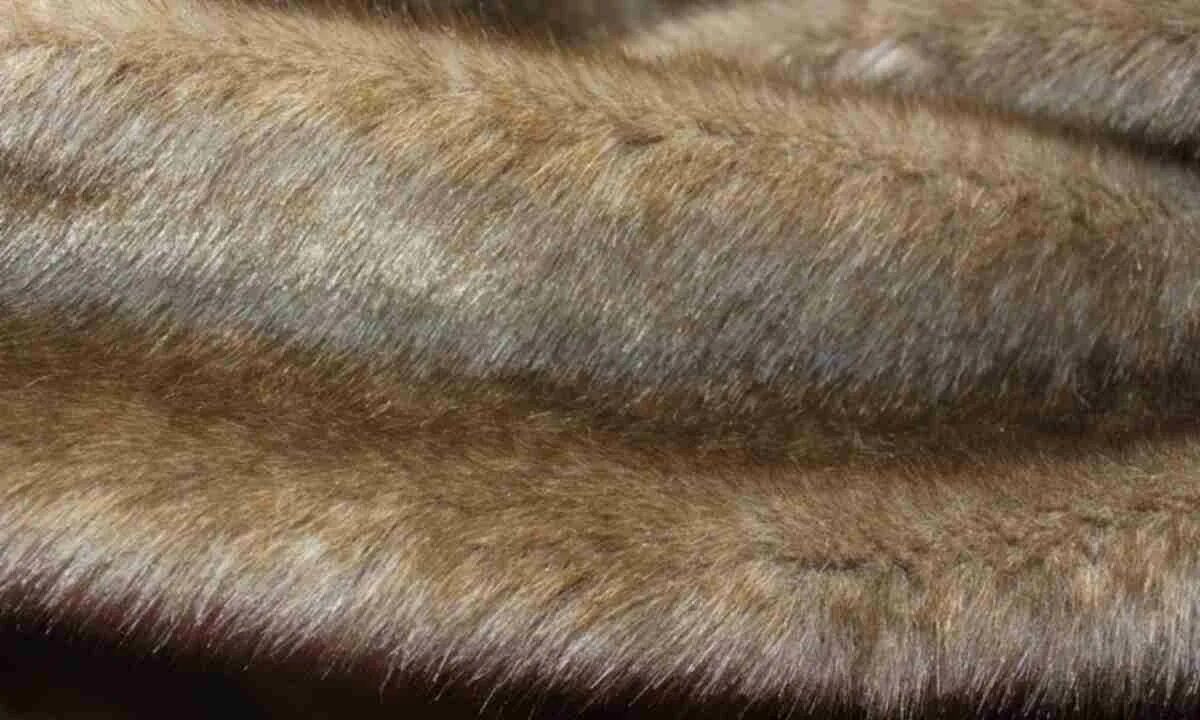 Мех норки. Искусственный мех ткань под норку. Искусственный мех. Мех норка натуральный. Черный мех.