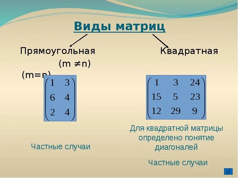 Виды матриц. Виды матриц прямоугольная. Прямоугольная матрица пример. Виды матриц в линейной алгебре.