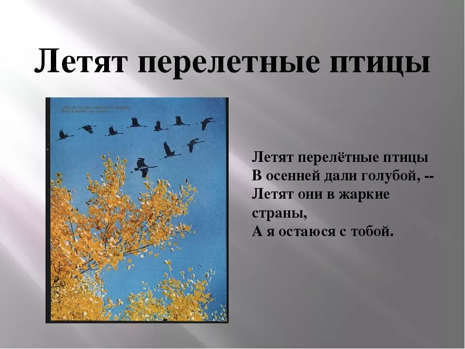 Текст песни птицей улечу. Перелетные птицы осенью для дошкольников. Улетают в теплые края. Улетают птицы в теплые края стих. Птицы на Юг улетают стихотворение.