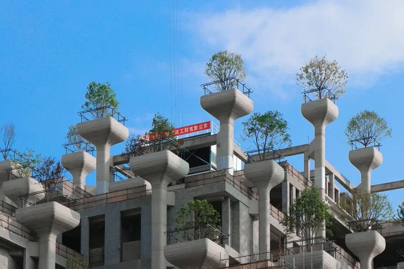 Деревья в шанхае. 1000 деревьев в шанхае. 1000 trees heatherwick. жилые комплексы в шанхае. шанхайская застройка.