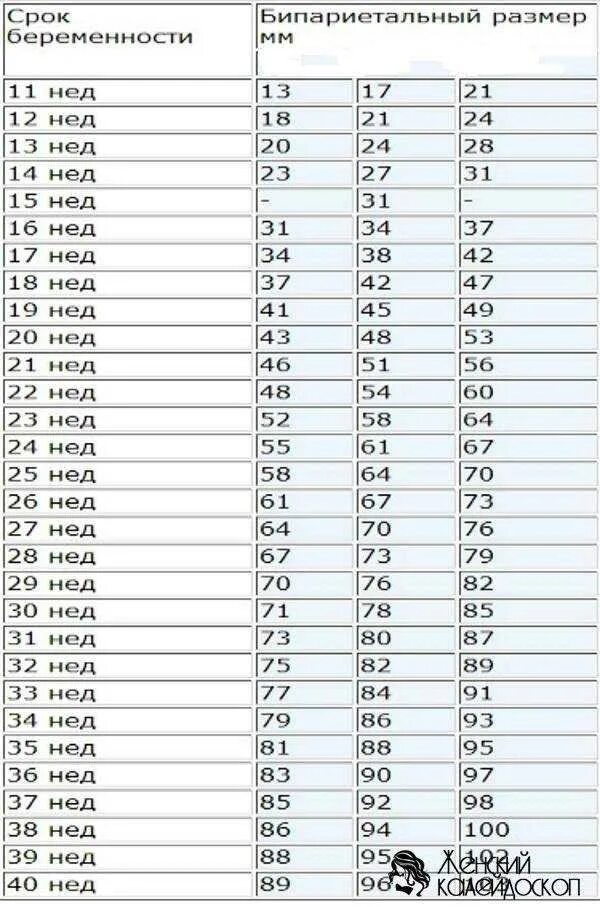33 неделя размеры. Нормы размеров эмбриона по неделям беременности таблица. Нормы размеров плода по неделям беременности УЗИ. УЗИ параметры головы плода. Норма размера плода на УЗИ по неделям.