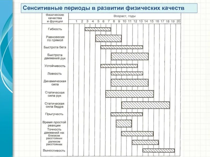 возрастные периоды детей и подростков. сензитивный период развития ребенка таблица. периоды физического развития ребенка. периоды физического развития ребенка. юношеский возраст периодизация.