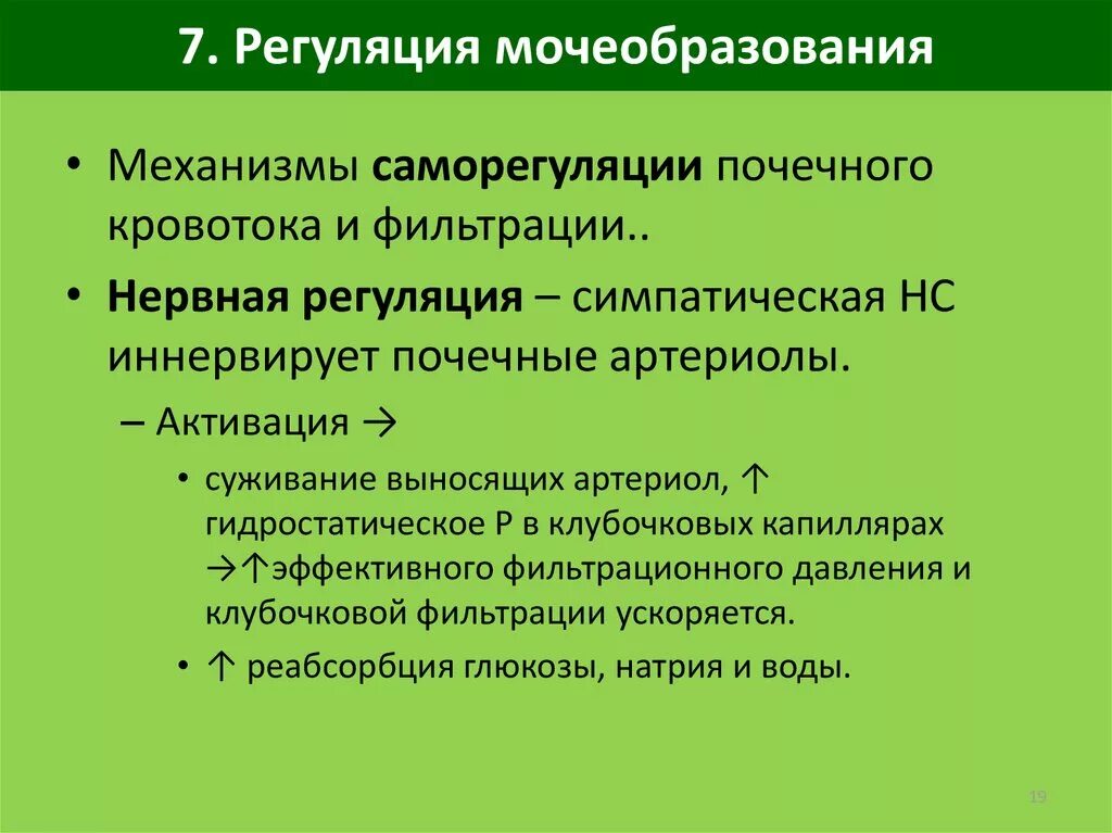 Как происходит регуляция работы почек гуморальным путем. Нейрогуморальная регуляция мочеобразования и мочеиспускания. Нервная регуляция мочеобразования. Механизмы регуляции мочеобразования. Регуляция процесса мочеобразования.