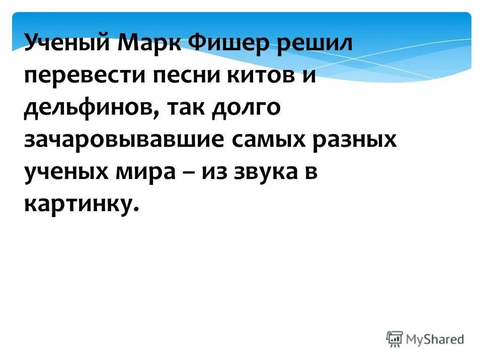 Стихи про китов. Киты в музыке. Перевод песни кит. Кит ночью. Три кита в музыке.