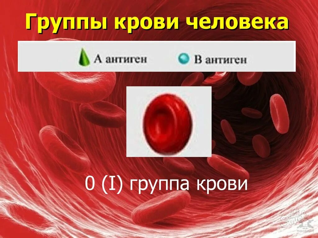 Группа крови. Первая группа крови. 1 2 3 4 Группа крови. Кровь группы крови.