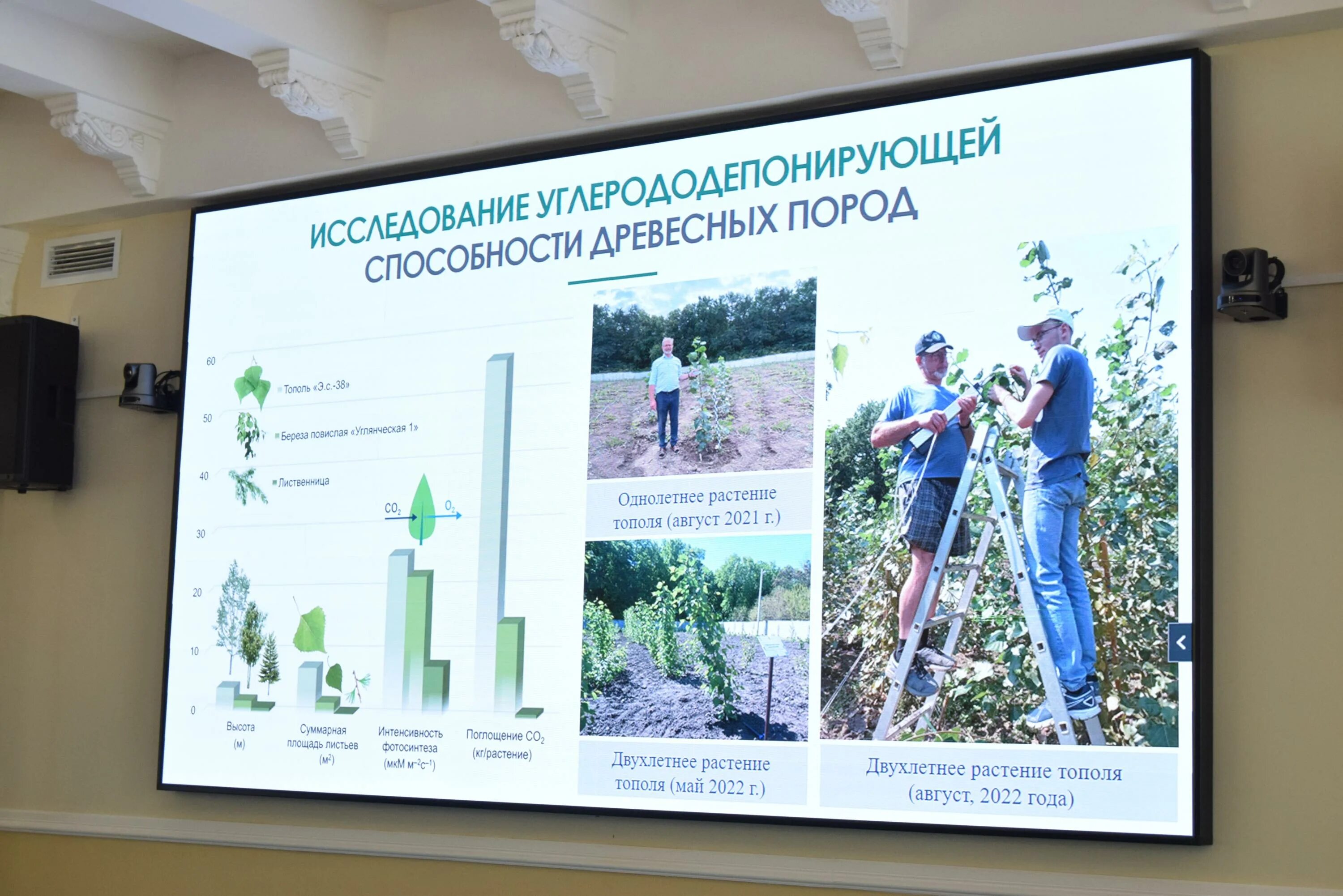 Файл:Russia Köppen New (Crimea disputed).png - Википедия