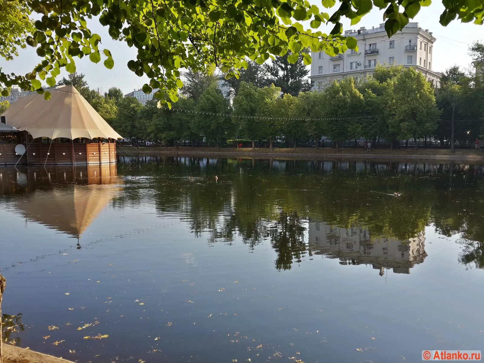 Чистые пруды рыбалка. Чистые пруды пруд. Парк чистые пруды Москва. Парк чистые пруды Великий Новгород. Москва сквер чистые пруды.