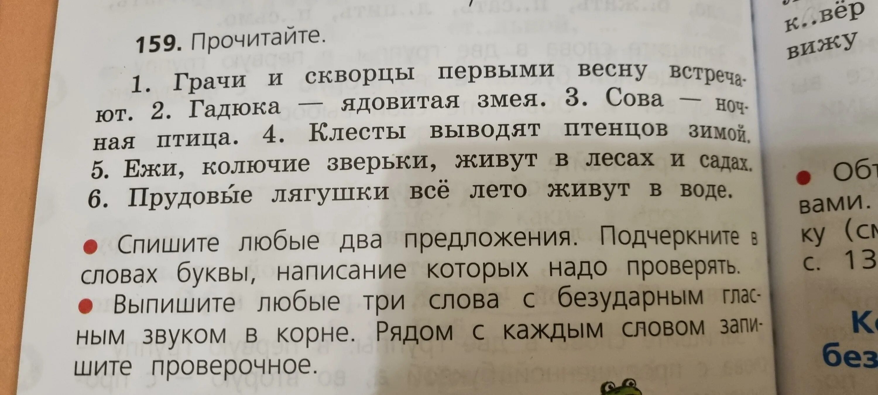 Спиши текст подчеркни в предложениях главные. Спишите любые два предложения. Списать любые два предложения. Подчеркни в каждом слове букву написание которой надо проверять. Спишите в любое время.