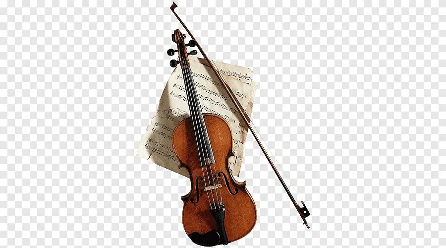 Violin текст. Скрипка. Презентация на тему скрипка. Сообщение о скрипке. Скрипка струнные смычковые музыкальные инструменты.