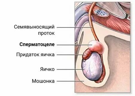 Жетілген қаншықтардың ххх фотосуреттері