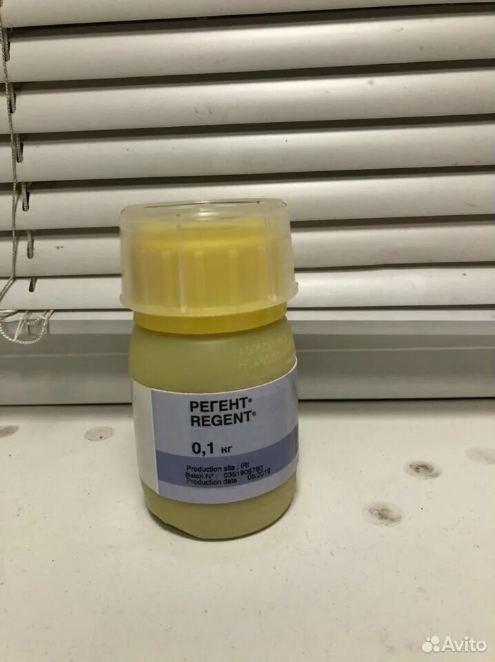 регент 800 вдг. регент 800 вдг от колорадского жука. регент 800, вдг (800 г/кг). монарх регент 800 инсектицид. регент 800 порошок.