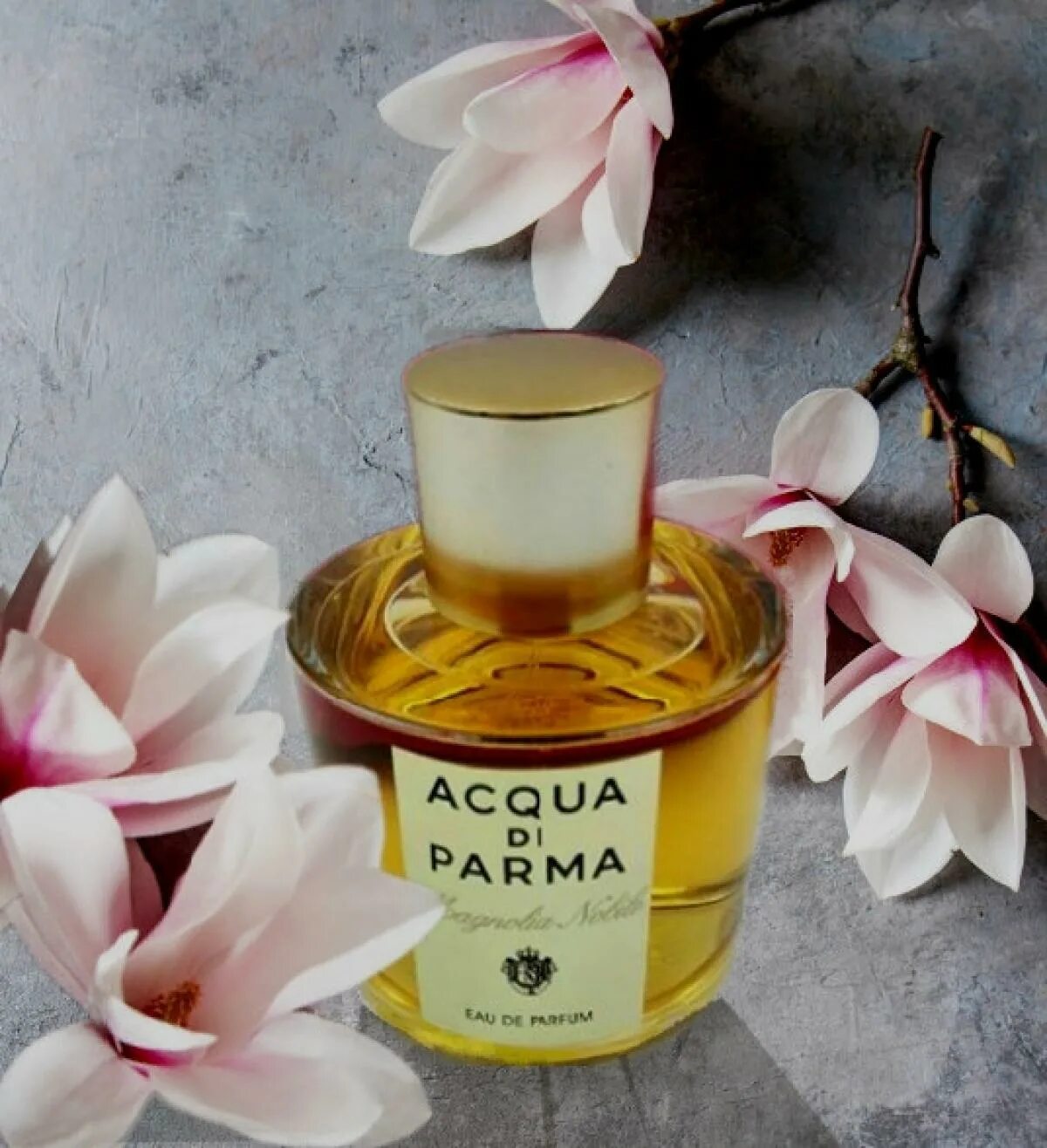 Аква ди Парма Магнолия. Acqua di Parma Magnolia Nobile набор. Aqua de Parma Magnolia Nobile. Парфюм Парма Магнолия. Acqua di parma magnolia