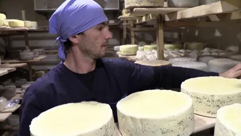 Сыр грузинский бул генерала карбышева 8 отзывы