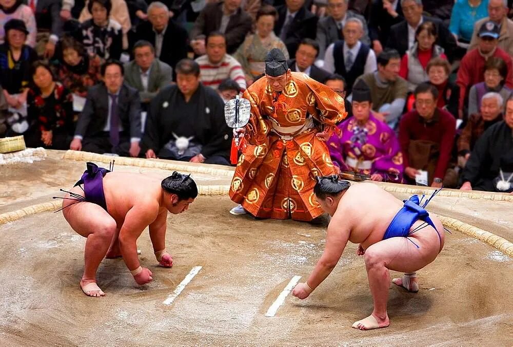 Маваси. Японские борцы сумо. Сумо боевые искусства Японии.