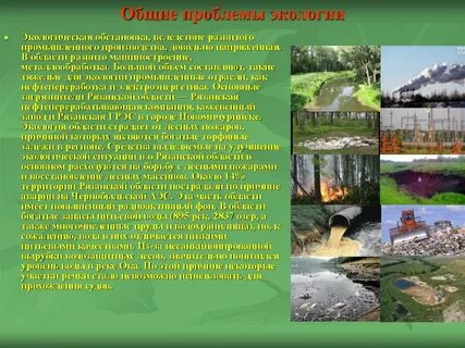 Состояние окружающей среды пример