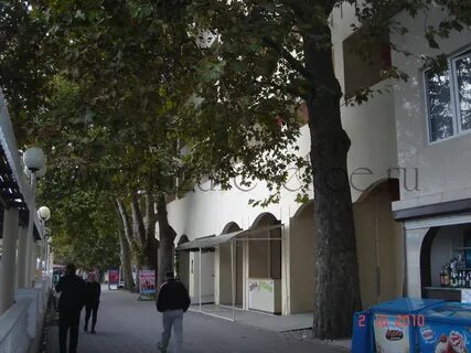 Лазаревское тополь камеры