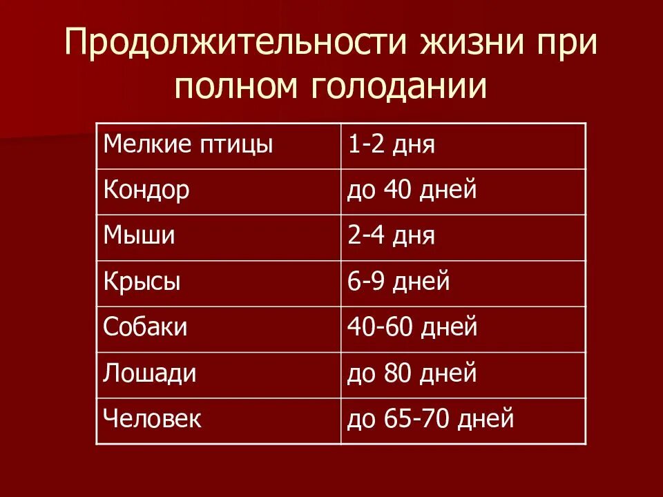 Средняя Продолжительность жизни животных таблица. Периоды голодания таблица. Продолжительность жизни человека. Длительность голодания. Жизненный голод