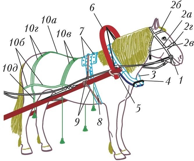 Одноконная дуговая запряжка лошади. Одноконная дуговая упряжь. Дуга в упряжи лошади. Оглобле дуговая упряжь. Часть упряжи 5