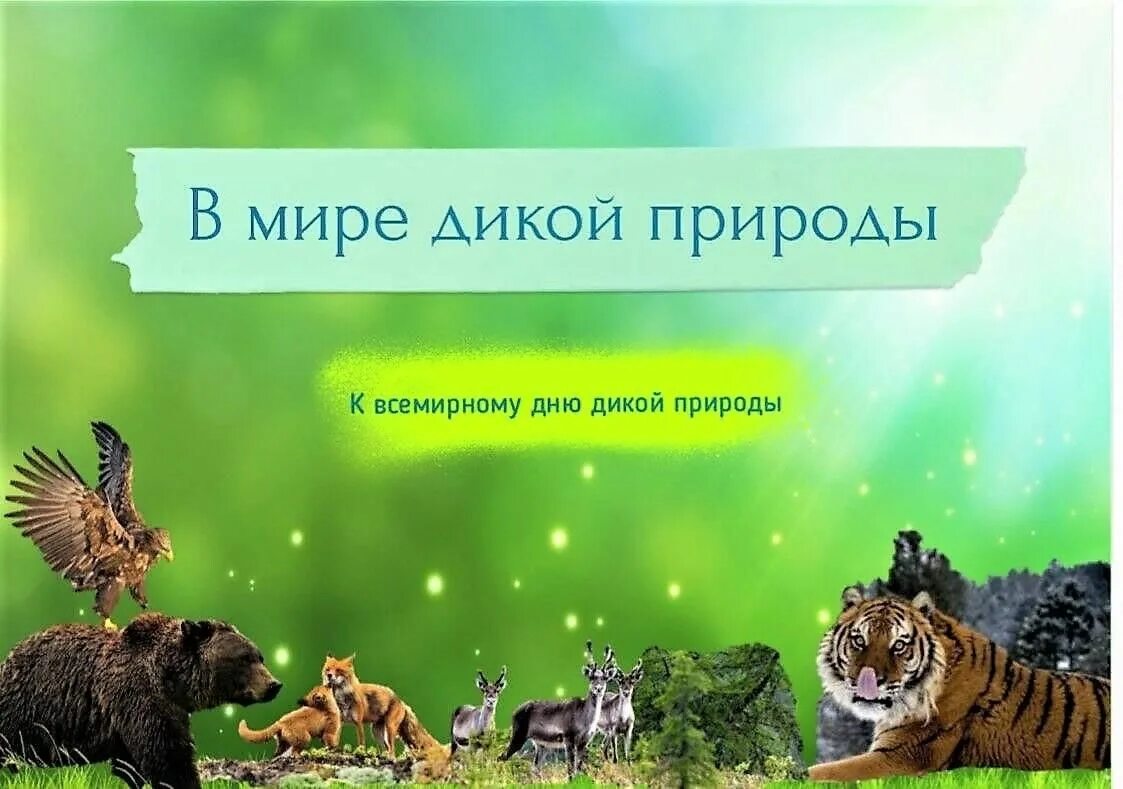 Всемирный день дикой природы мероприятия. День дикой природы. Всемирный день дикой природы в библиотеке.