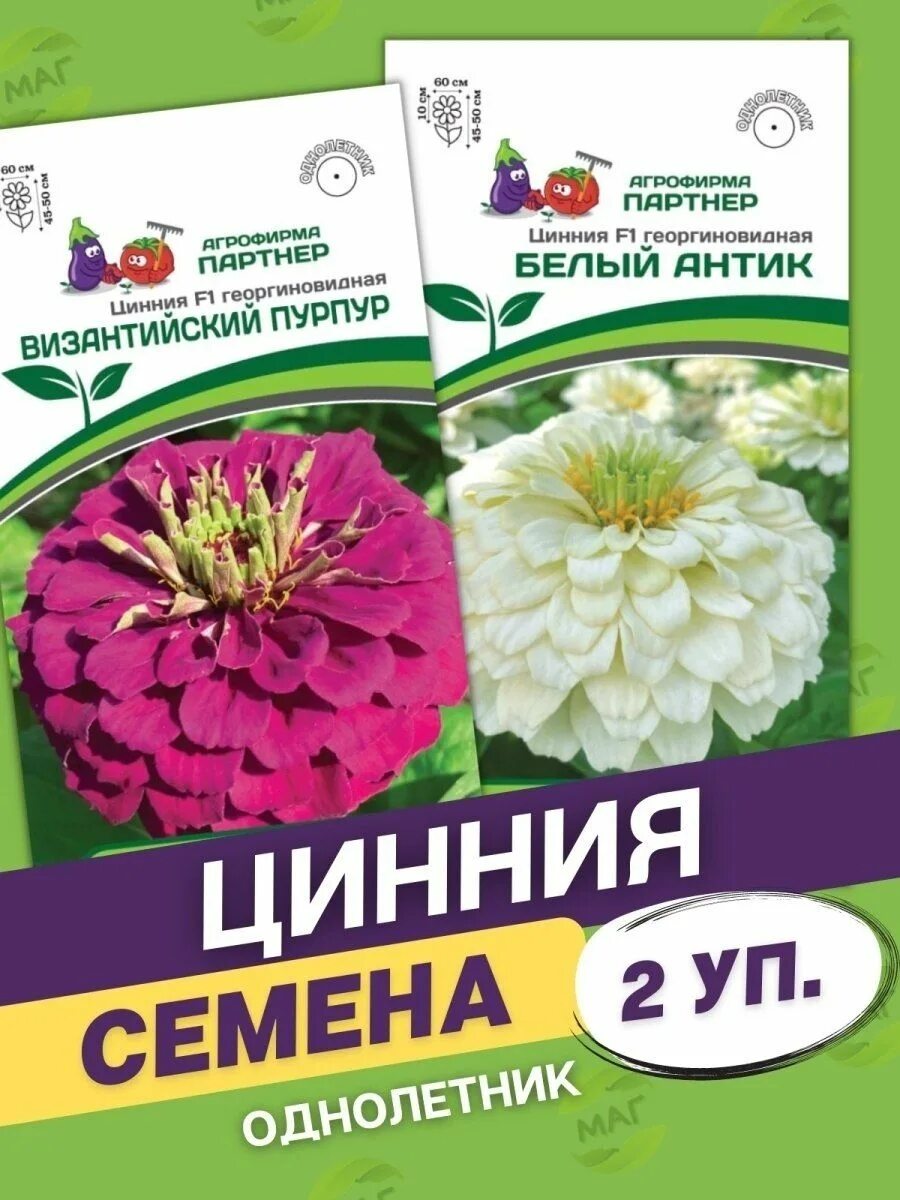 Циния партнер семена. Фирма партнер семена цинии. Цинния георгиноцветковая полярный медведь. Цинния f1 персидский красный георгиновидная партнер. Цинния дабл захара черри.