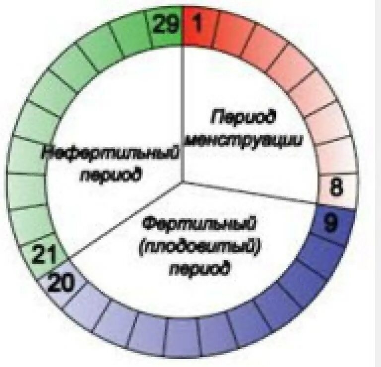 Фертильный период менструационного цикла. Календарный метод контрацепции. Календарный метод безопасные дни. Цикл овуляции безопасные дни. 14 дней после месячных