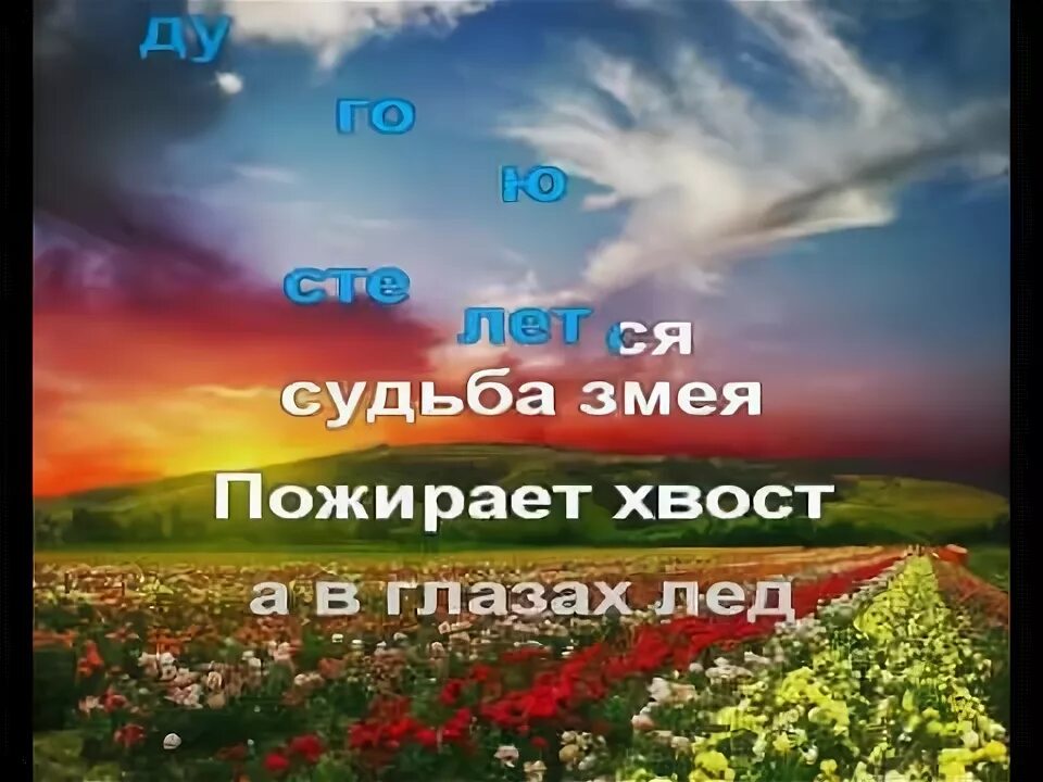 Вей вей проруха судьба слушать. Вей вей проруха судьба. проруха судьба. песня проруха судьба. вей вей проруха судьба песня.