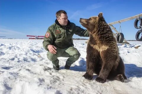Авиамедведь