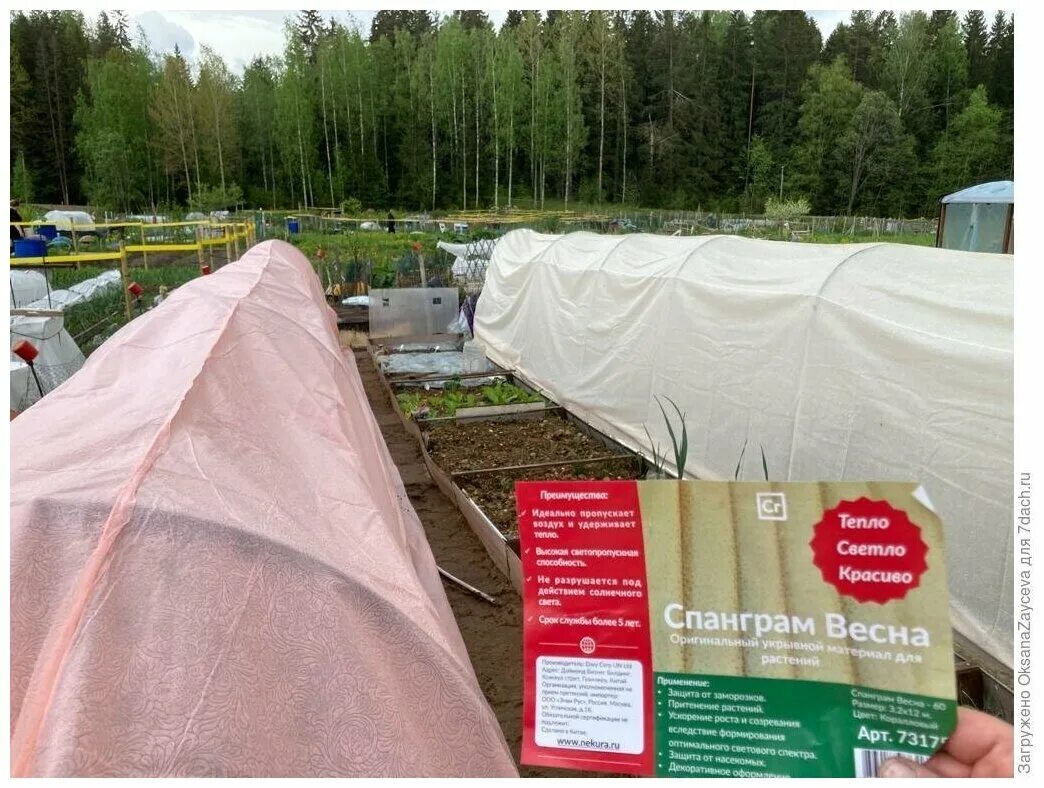 спанграм укрывной