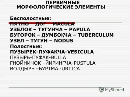 Первичный морфологический