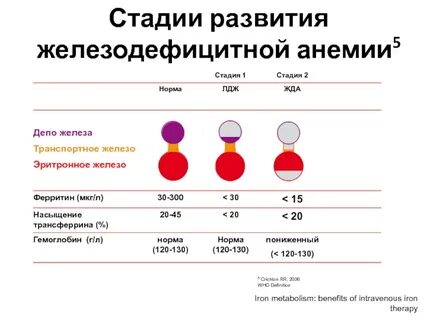 Психосоматика анемии