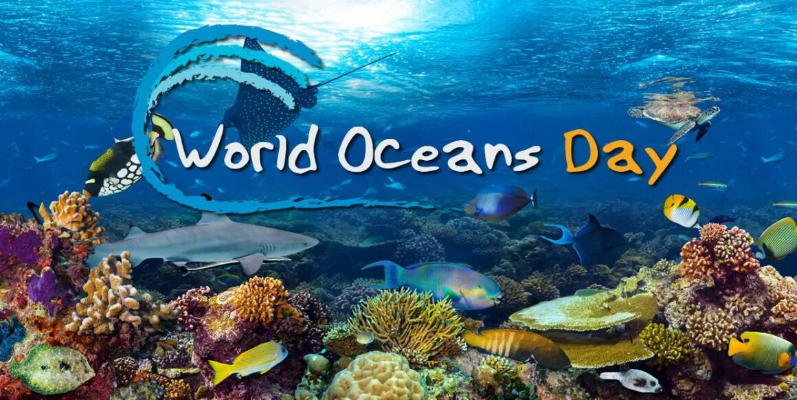 What is the world ocean. Ocean day. океан ворлд. international ocean day. #worldoceansday.