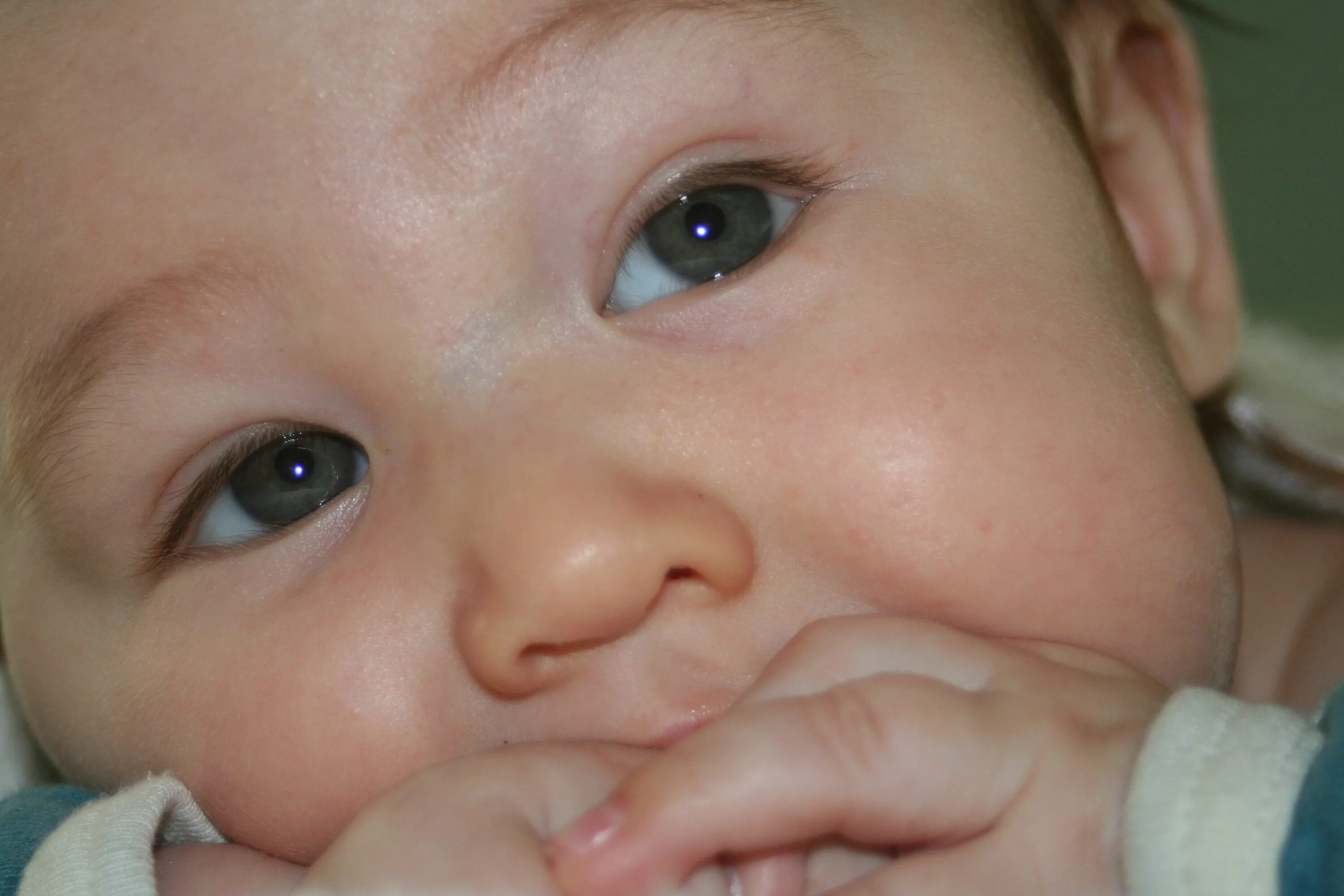 Почему синий нос. Глаза у новорожденных. Глаза новорожденного ребенка. Мешки под глазами у грудничка.