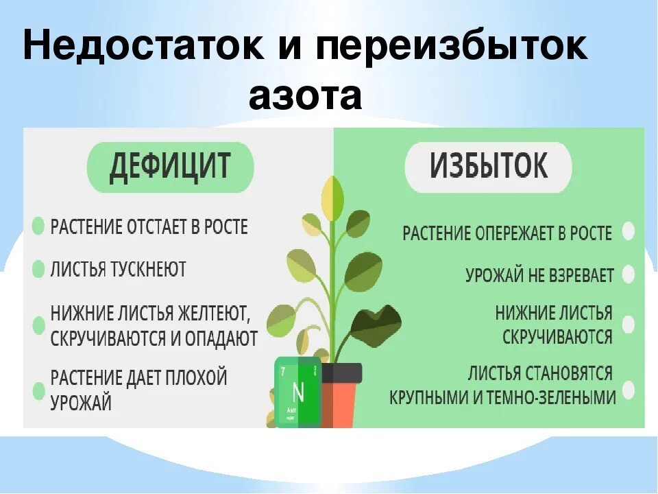 Дефицит и избыток азота в растениях. Избыток азотных удобрений. Недостаток азота у растений. Переизбыток азота. Почему нельзя растить