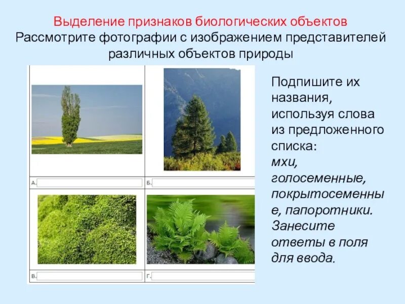 Видовые признаки. Признаки биологических объектов. Выделение признаков биологических объектов. Признаки биологических объекто. Признаки биологических объектов биология.