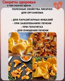 Лисички полезность