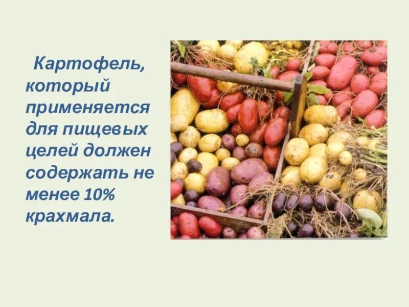 Курсовая работа картофель. Картофель с низким содержанием крахмала сорта. картофель с пониженным содержанием крахмала. картофель с высоким содержанием крахмала сорта. картошка без крахмала сорт.
