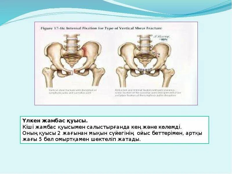 Жамбас