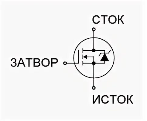 P основ