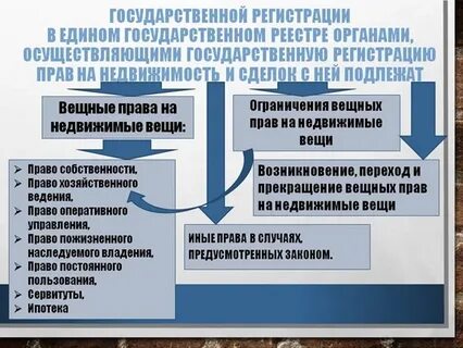 Организацией по государственной регистрации недвижимого имущества